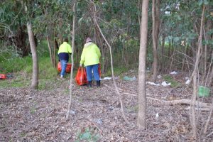 Byford Enviro-Link volunteers collecting rubbish at Mandejal Brook POS, Whitby, Western Australia