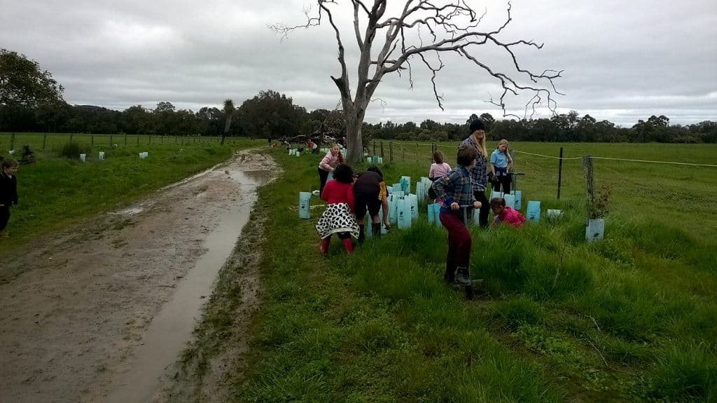 children planting along a road