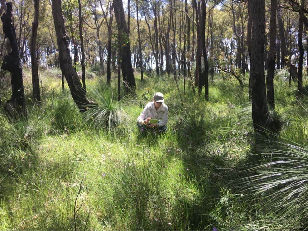 women taking photos in bushland