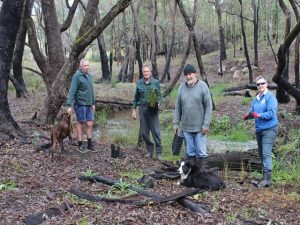 volunteers planting seedlings at Gooralong Brook, Jarrahdale July 2017