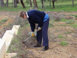 woman weeding