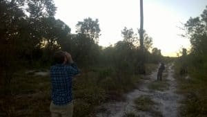 Lowlands Roo Count Images