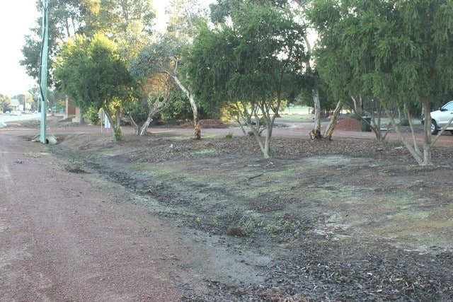 Byford Information bay trees