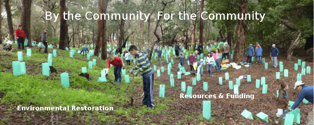 many people enthusiastically planting seedlings by Serpentine River