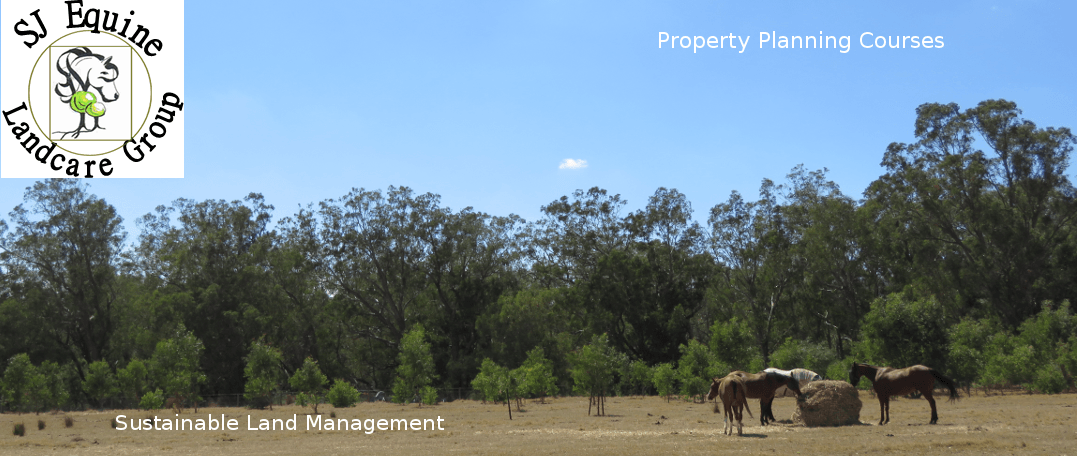 Horse property at Serpentine, Western Australia