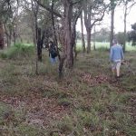 Officer from Landcare SJ setting up flora quadrat at Serpentine , Western Australia