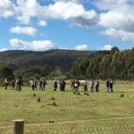 Equine property in Serpentine practising Sustainable Agriculture