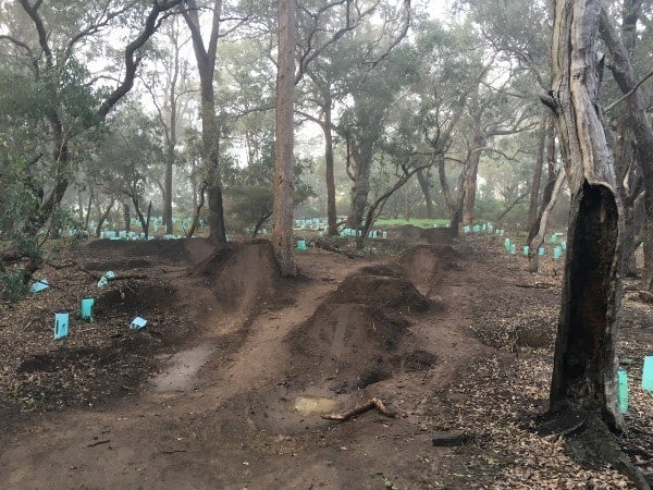 vandalism in Federation Park, Serpentine