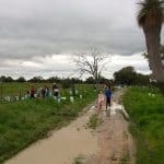 children planting along a road