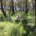 woman taking photos of weeds in bushland