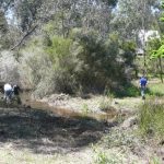 people burning off weeds in bushland in Jarrahdale