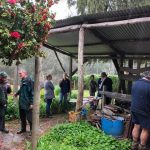 planters having talking at Gooralong Brook, Jarrahdale