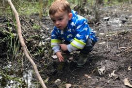 child planting at Gooralong Brook, Jarrahdale