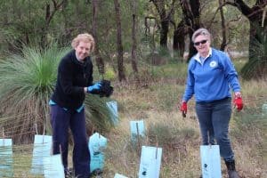 Landcare SJ community members planting native seedlings at Mundijong Road reserve