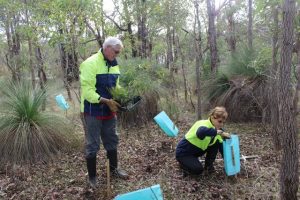 Two members of Byford Enviro-link removing plant gurds at Mundijong Road