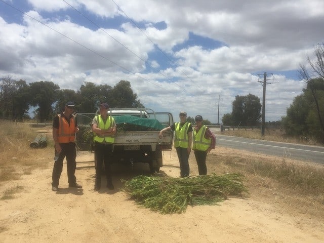 4 people standing by a vehicle with pulled cotton bush in the foreground