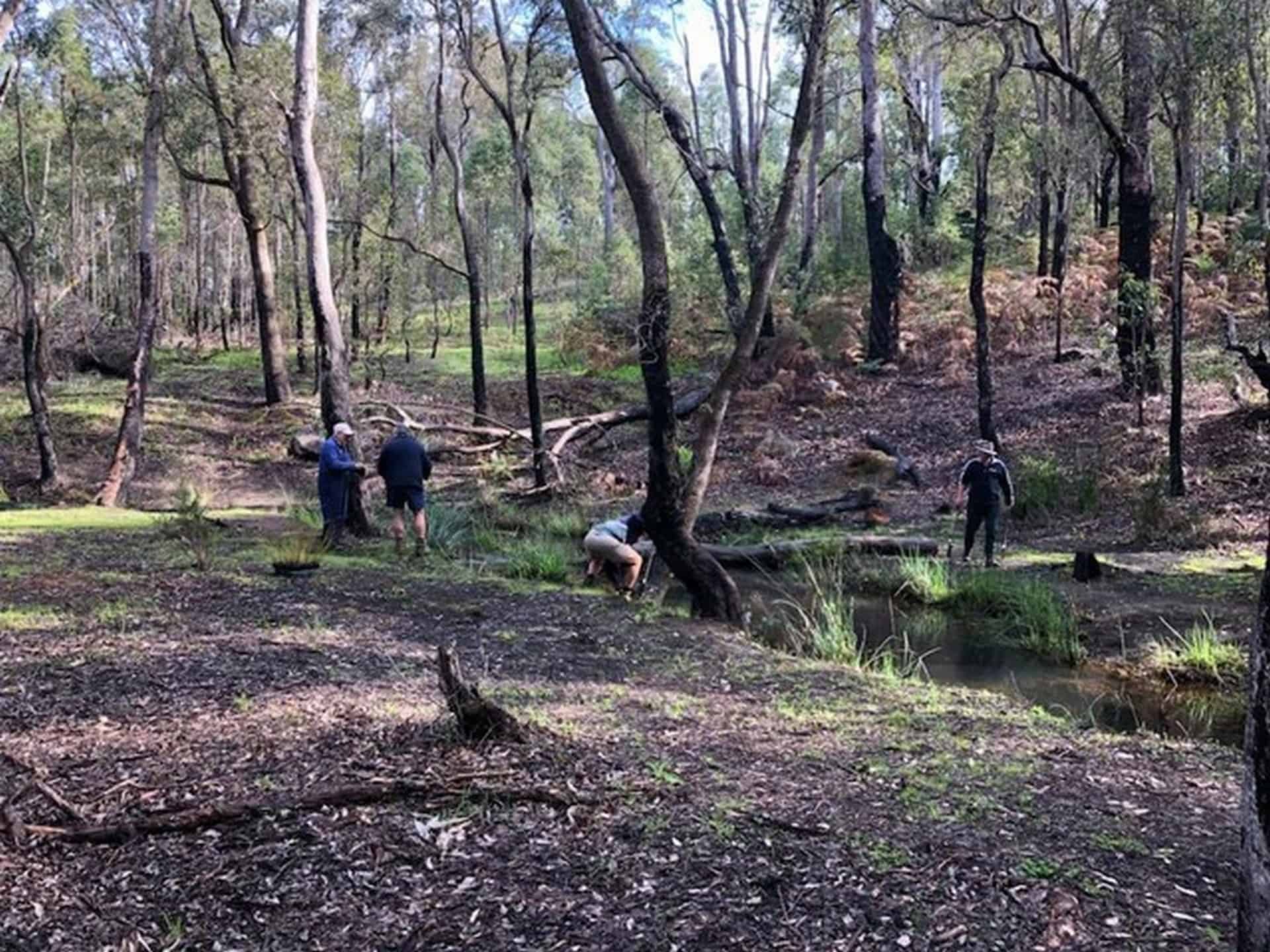 people planting at Gooralong Brook Jarrahdale