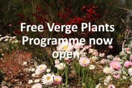 link to Serpentine Jarrahdale free verge plants programme