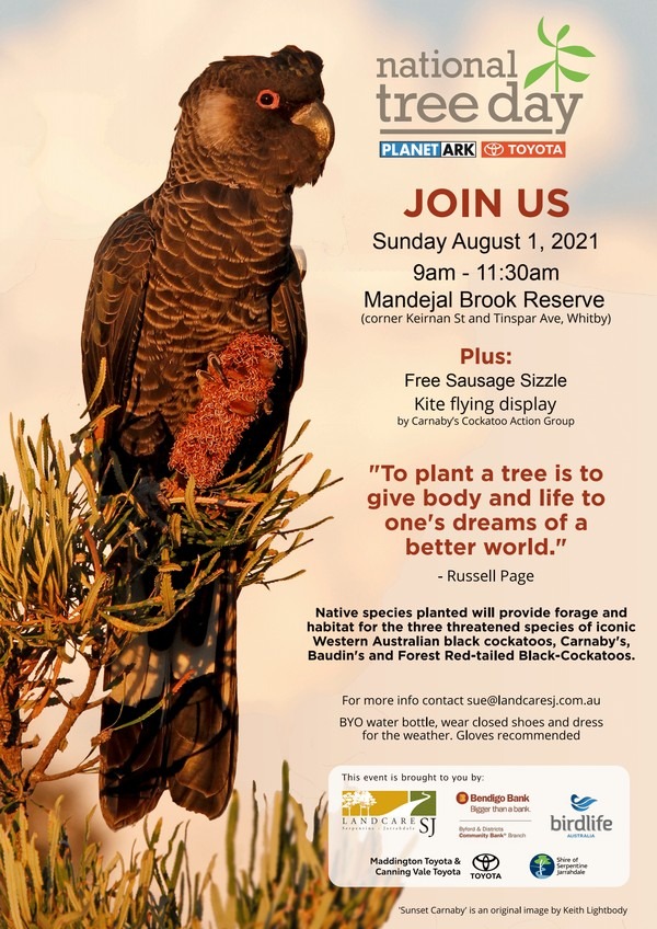 flyer for national tree day