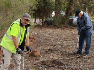 2 men planting seedlings