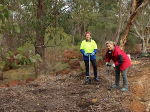 two women planting seedlings