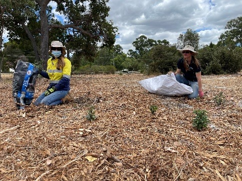 two female landcare officers weeding in degraded banskia bushland