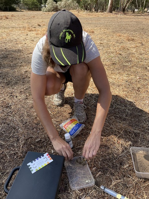 man kneeling to do soil tests in paddock