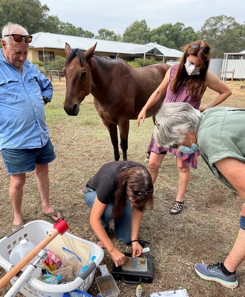 two men and two women with horse in paddock watching soil testing