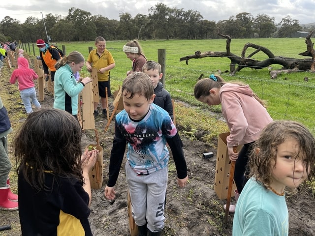 North Dandalup children planting