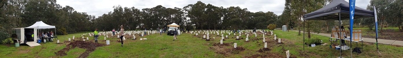 Planting site with people and structures